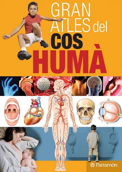 EL GRAN ATLES DEL COS HUMÀ | 9788434228795 | PARRAMON