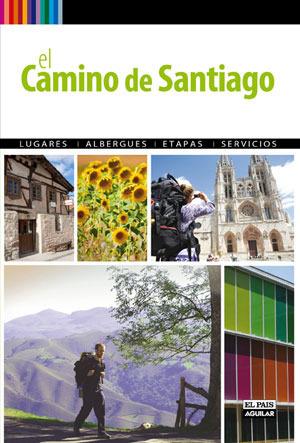 EL CAMINO DE SANTIAGO A PIE | 9788403509054 | NADAL, PACO