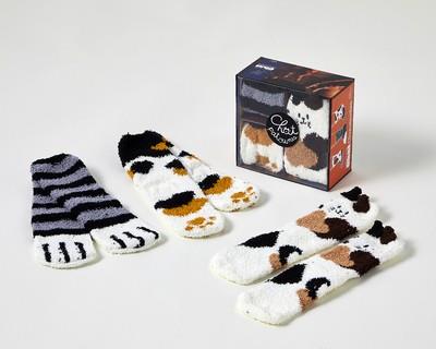 COFFRET LES GOÛTERS DE LA FAMILLE CHAT CHAUSSETTES, 2E ÉD  | 9782412090442 | COLLECTIF