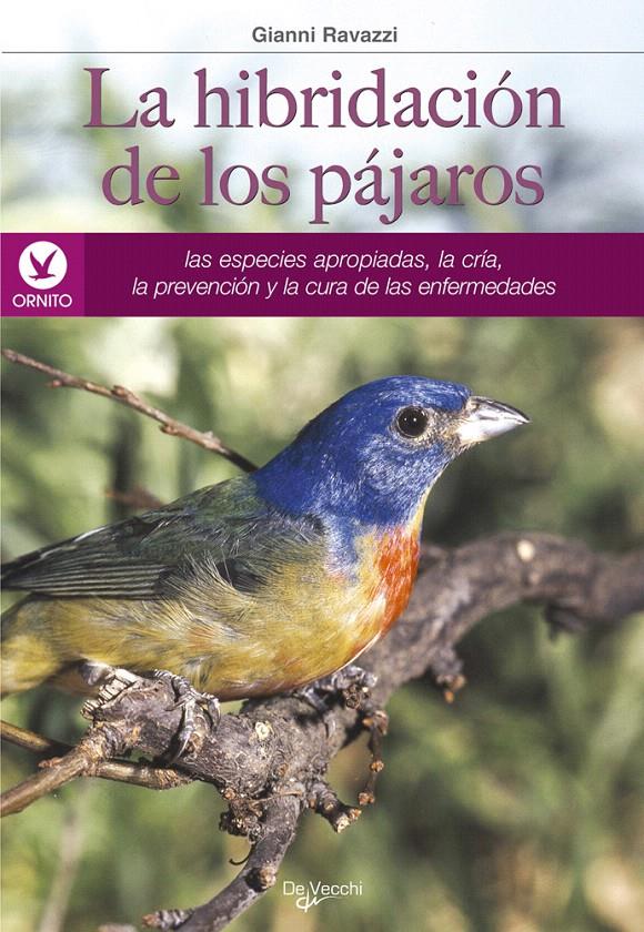 LA HIBRIDACIÓN DE LOS PÁJAROS | 9788431520472 | RAVAZZI, GIANNI