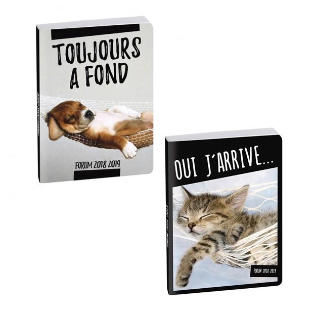 AGENDA SCOLAIRE  TEXTAGENDA FUNNY PET D/P  | 3660942043199