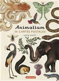 ANIMALIUM : 50 CARTES POSTALES | 9782203235540 | SCOTT, KATIE