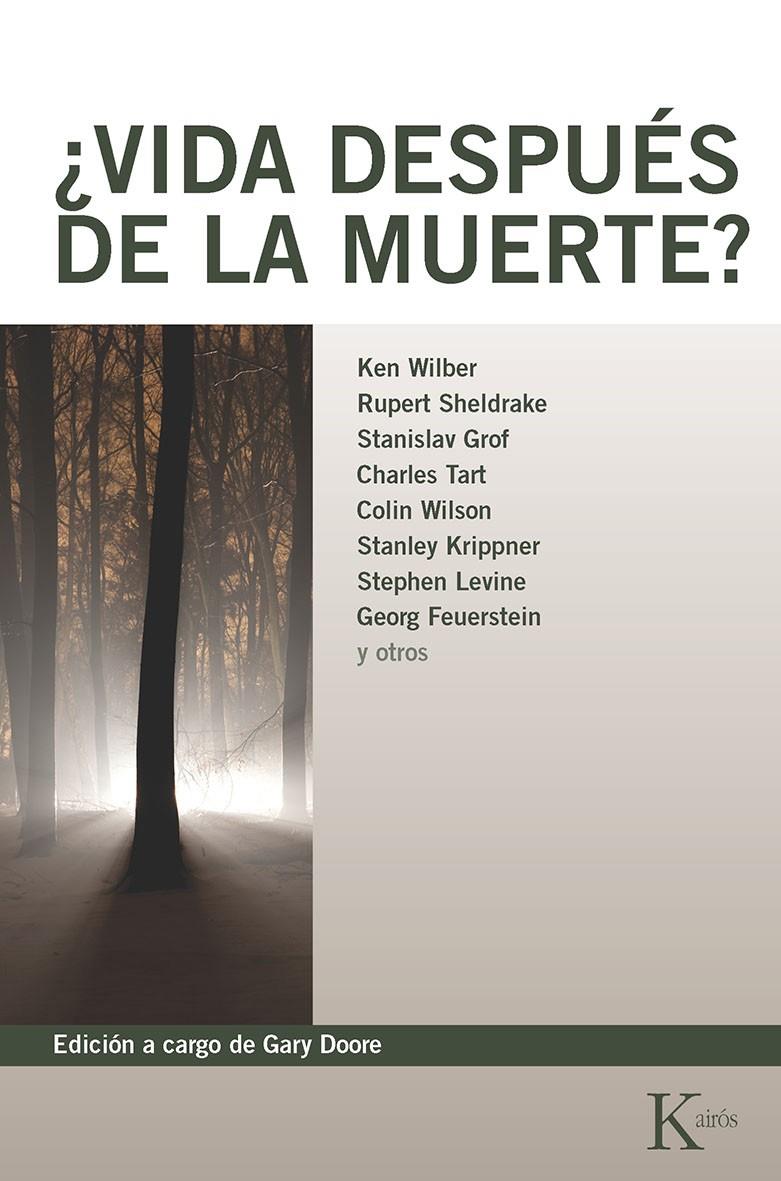 ¿VIDA DESPUÉS DE LA MUERTE? | 9788472452619 | VARIOS AUTORES