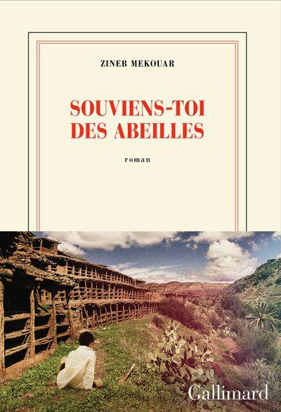 Présentation du livre : " Souviens-toi des abeilles " Zineb Mekouar - 