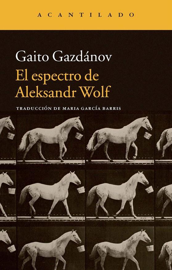 EL ESPECTRO DE ALEKSANDR WOLF | 9788416011414 | GAZDÁNOV, GAITO/GARCÍA BARRIS, MARÍA