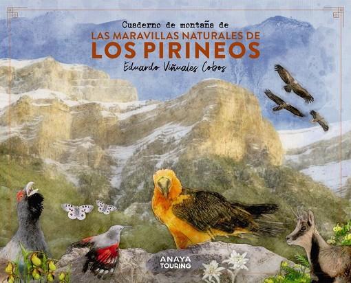 CUADERNO DE MONTAÑA DE LAS MARAVILLAS NATURALES DE LOS PIRINEOS | 9788491586036 | VIÑUALES COBOS, EDUARDO