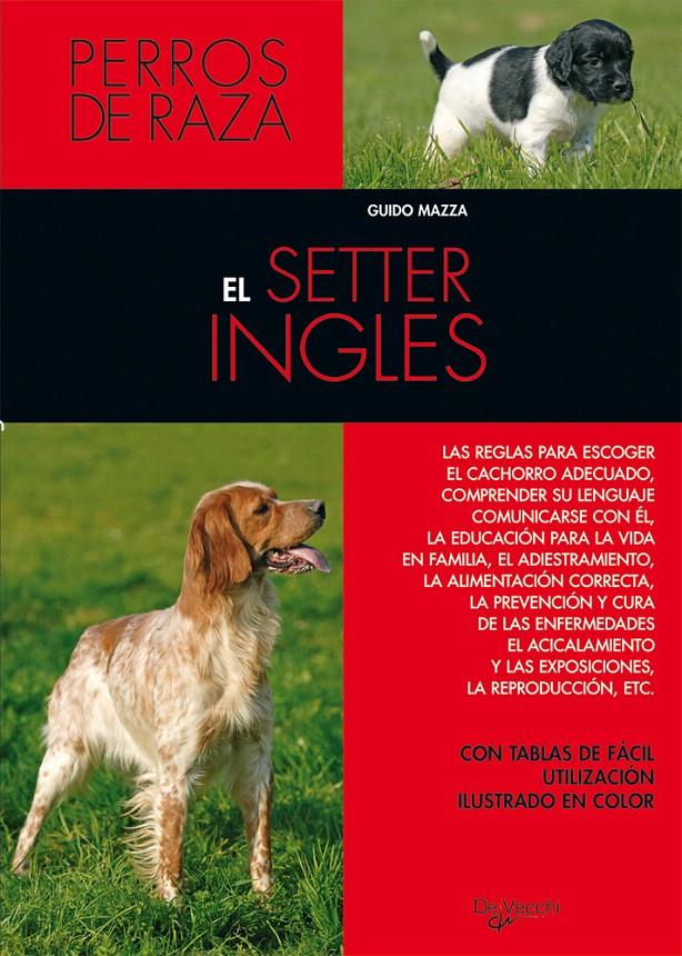 EL SETTER INGLÉS | 9788431515324 | MAZZA, GUIDO