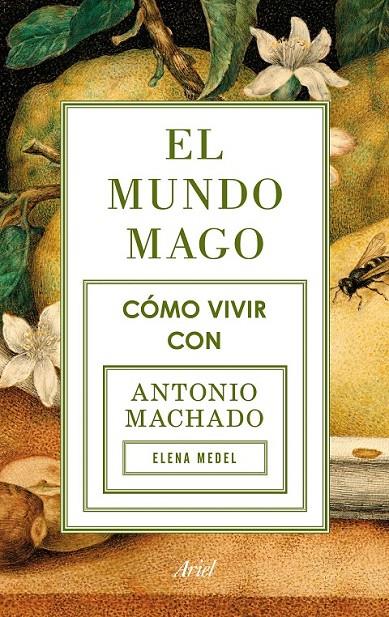 EL MUNDO MAGO | 9788434422353 | ELENA MEDEL