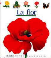 MUM. 8 LA FLOR | 9788434835375 | METTLER, RENÉ/DELAFOSSE, CLAUDE/GALLIMARD JEUNESSE, ÉDITIONS