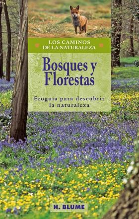 BOSQUES Y FLORESTAS | 9788489840287 | VARIOS AUTORES