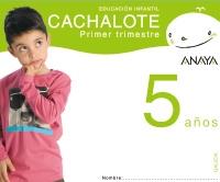 CACHALOTE 5 AÑOS. PRIMER TRIMESTRE. | 9788466776172 | PINTO MARTÍN, SAGRARIO/VILLARROYA SAMANIEGO, ELENA