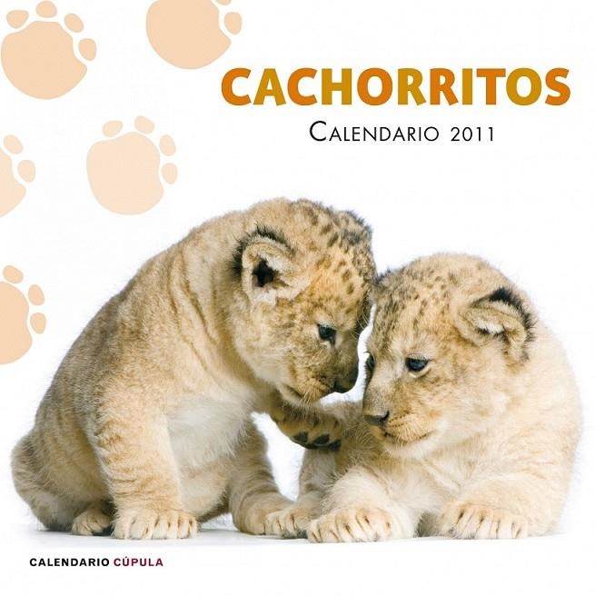 CALENDARIO CACHORRITOS 2011 | 9788448068257 | AA. VV.