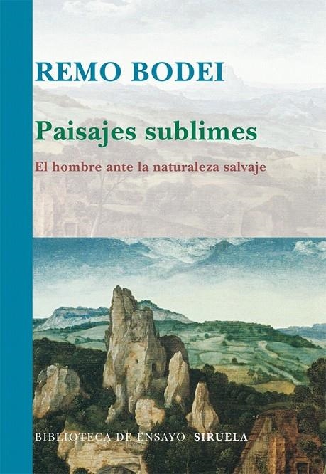 PAISAJES SUBLIMES | 9788498414080 | BODEI, REMO