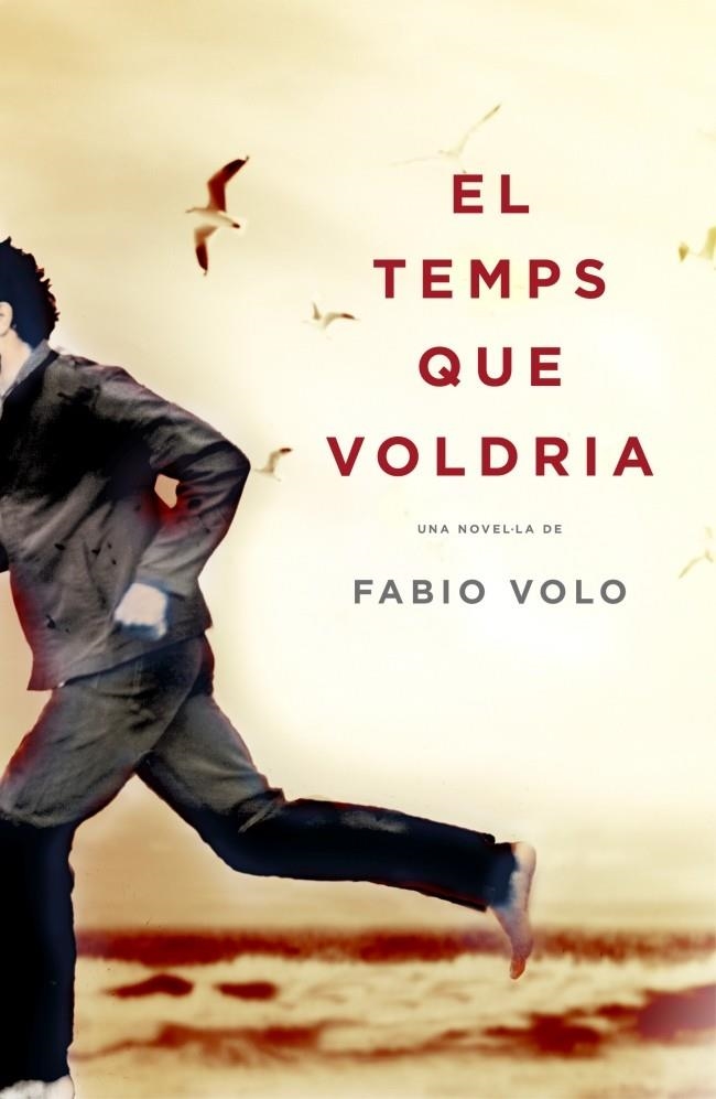 EL TEMPS QUE VOLDRIA | 9788401339325 | VOLO,FABIO