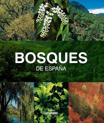 BOSQUES DE ESPAÑA. LUNWERG MEDIUM | 9788497857482 | JOAQUÍN ARAÚJO