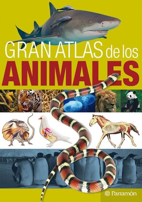 LOS ANIMALES | 9788434232259 | JULIVERT ZAMARREÑO, Mª ÁNGELES