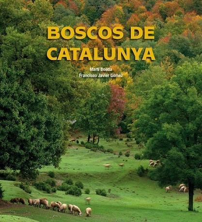 BOSCOS DE CATALUNYA | 9788497857895 | MARTÍ BOADA JUNCÁ/FRANCISCO JAVIER GÓMEZ VARGAS