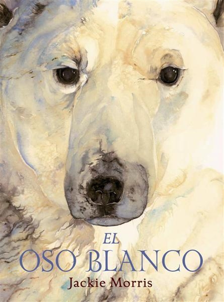 EL OSO BLANCO | 9788489825741 | MORRIS, JACKIE