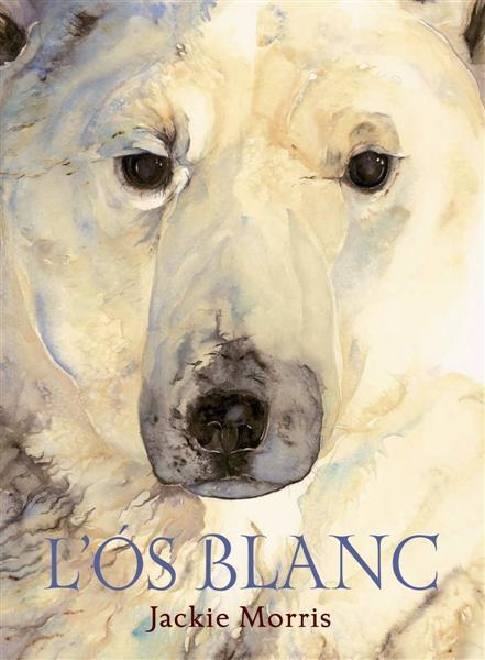 L'ÓS BLANC | 9788489825734 | MORRIS, JACKIE