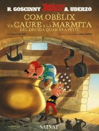 COM OBÈLIX VA CAURE A LA MARMITA DEL DRUIDA QUAN ERA PETIT (CATALÀ) | 9788421683309 | GOSCINNY, RENÉ