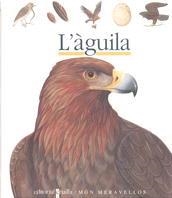 C-MF.26 L`AGUILA | 9788476298220 | GALLIMARD JEUNESSE, ÉDITIONS