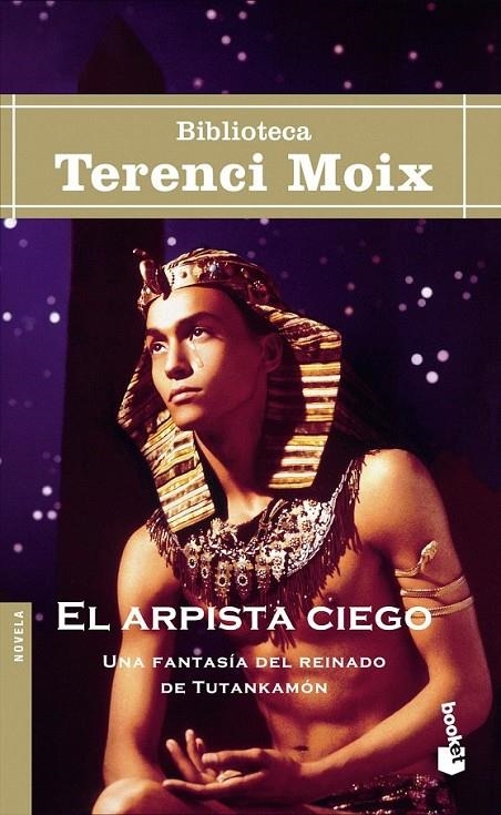 EL ARPISTA CIEGO | 9788408045984 | TERENCI MOIX