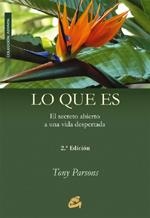 LO QUE ES | 9788484450641 | PARSON, TONY