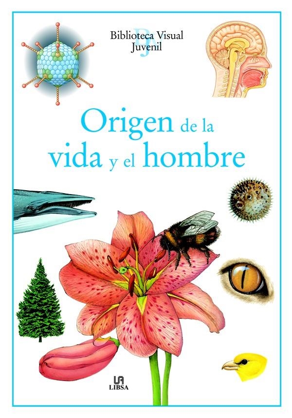 ORIGEN DE LA VIDA Y EL HOMBRE | 9788466211628 | EQUIPO EDITORIAL