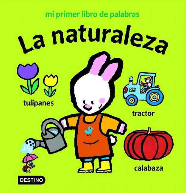 LA NATURALEZA | 9788408056652 | YVES GOT