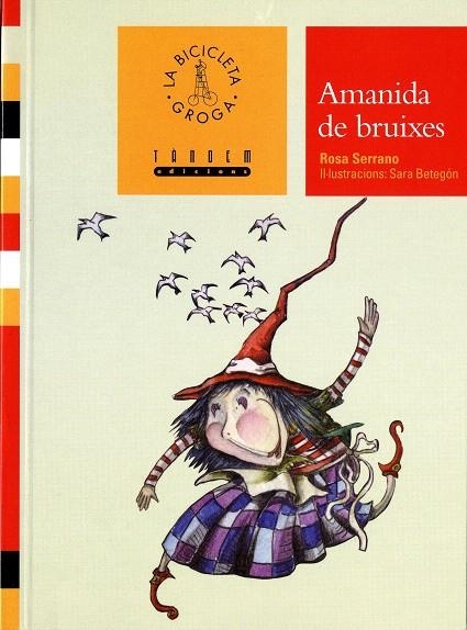 AMANIDA DE BRUIXES | 9788481315882 | SERRANO LLÀCER, ROSA