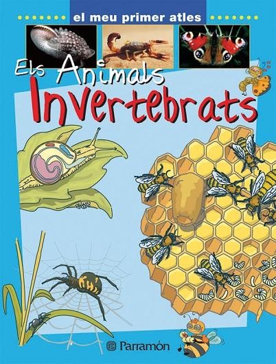 ELS INVERTEBRATS | 9788434227149 | PARRAMON