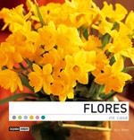 FLORES EN CASA | 9788475564739 | WINTER, ALICIA