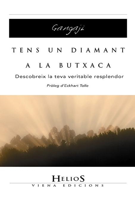 TENS UN DIAMANT A LA BUTXACA | 9788483304525 | ROBERSON, TONI (GANGAJI)