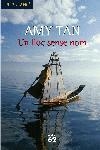 UN LLOC SENSE NOM | 9788429758092 | AMY TAN