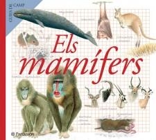 ELS MAMÍFERS | 9788434228368 | PARRAMON