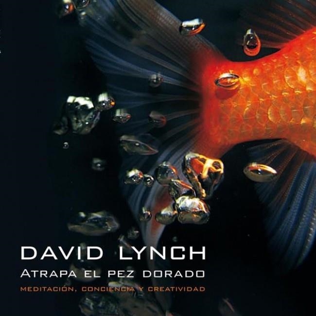 ATRAPA EL PEZ DORADO | 9788439721406 | LYNCH,DAVID