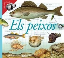 ELS PEIXOS | 9788434228405 | PARRAMON