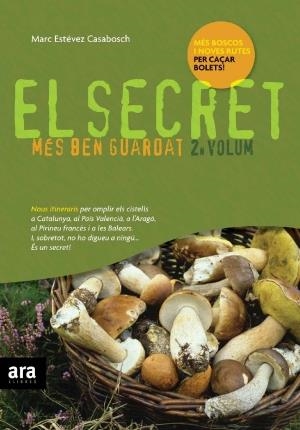 EL SECRET MÉS BEN GUARDAT. 2N VOLUM | 9788492406272 | ESTÉVEZ CASABOSCH, MARC