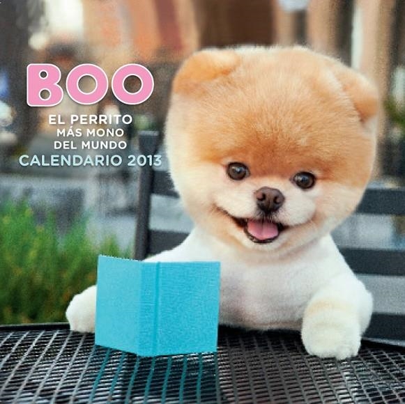 CALENDARIO BOO. EL PERRITO MÁS MONO DEL MUNDO 2013 | 9788448005313 | AA. VV.