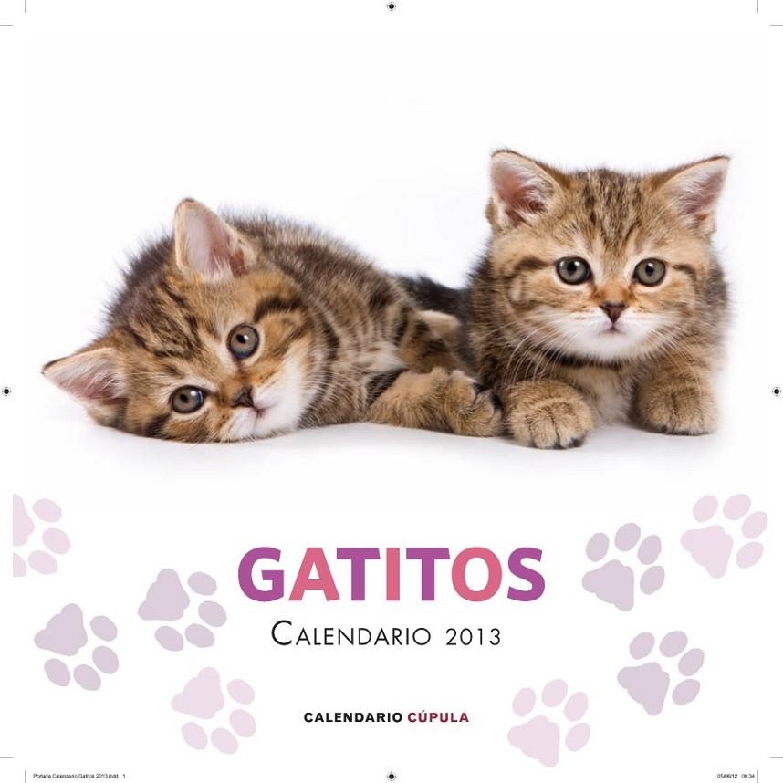 CALENDARIO GATITOS 2013 | 9788448006648 | AA. VV.