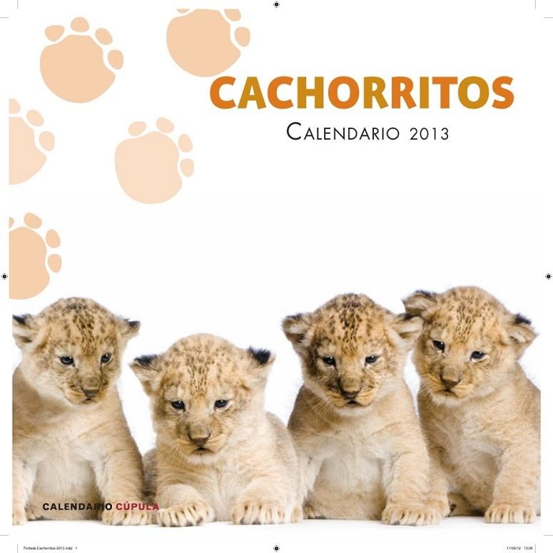 CALENDARIO CACHORRITOS 2013 | 9788448006655 | AA. VV.