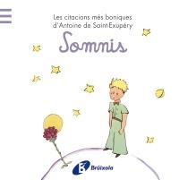 SOMNIS | 9788499064185 | DE SAINT-EXUPÉRY, ANTOINE