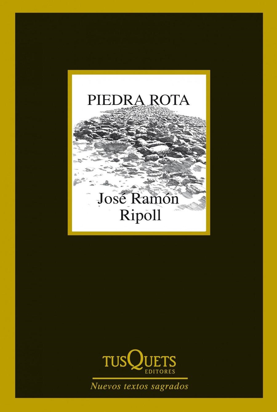 PIEDRA ROTA | 9788483834787 | RIPOLL, JOSEP Mª