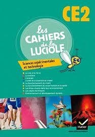 CAHIERS DE LA LUCIOLE CE2 - 978 2 218 94595 3 | 9782218945953 | COURDENT - DESSOBRY - FERIATI