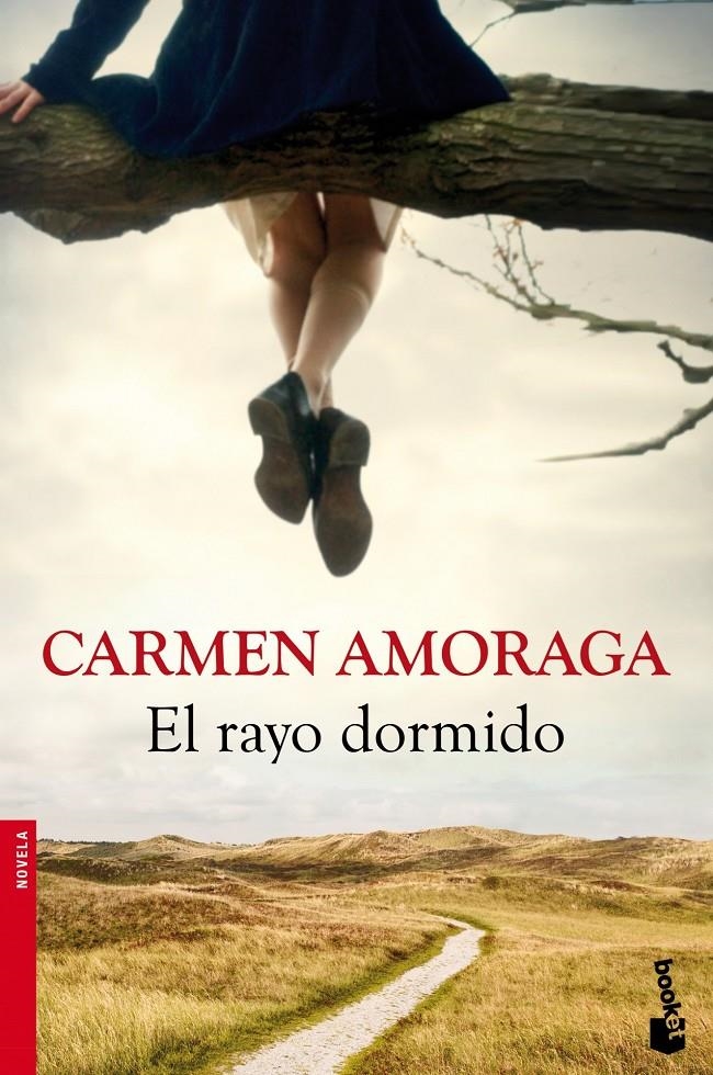 EL RAYO DORMIDO | 9788423346714 | CARMEN AMORAGA