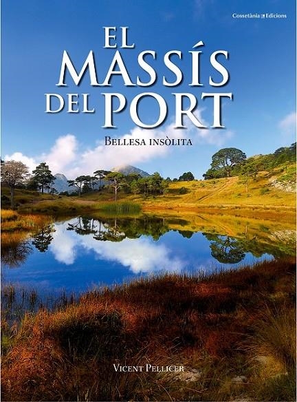 EL MASSÍS DEL PORT | 9788490341834 | PELLICER OLLÉS, VICENT