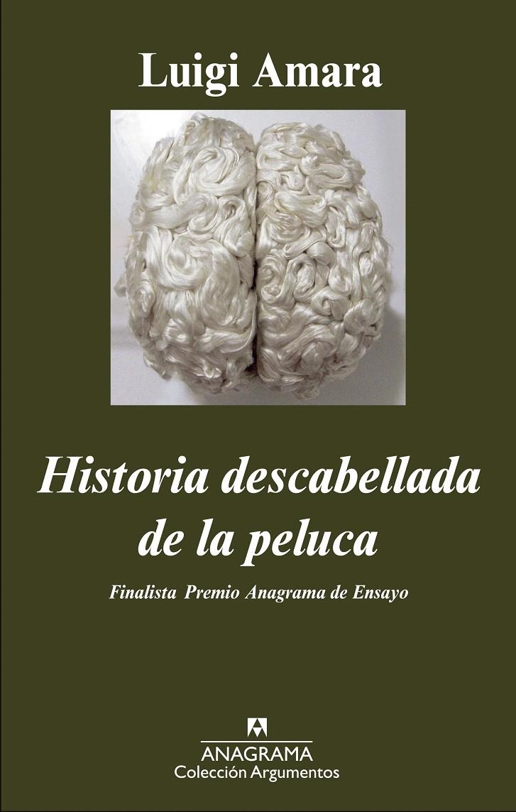 HISTORIA DESCABELLADA DE LA PELUCA | 9788433963673 | AMARA, LUIGI