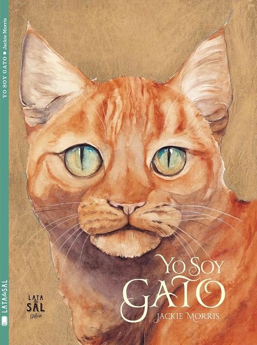 YO SOY GATO | 9788494245145 | JACKIE MORRIS