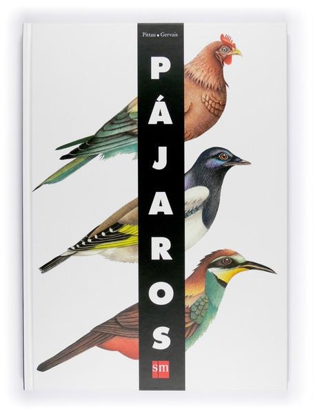 PAJAROS | 9788467541250 | PITTAU, FRANCESCO