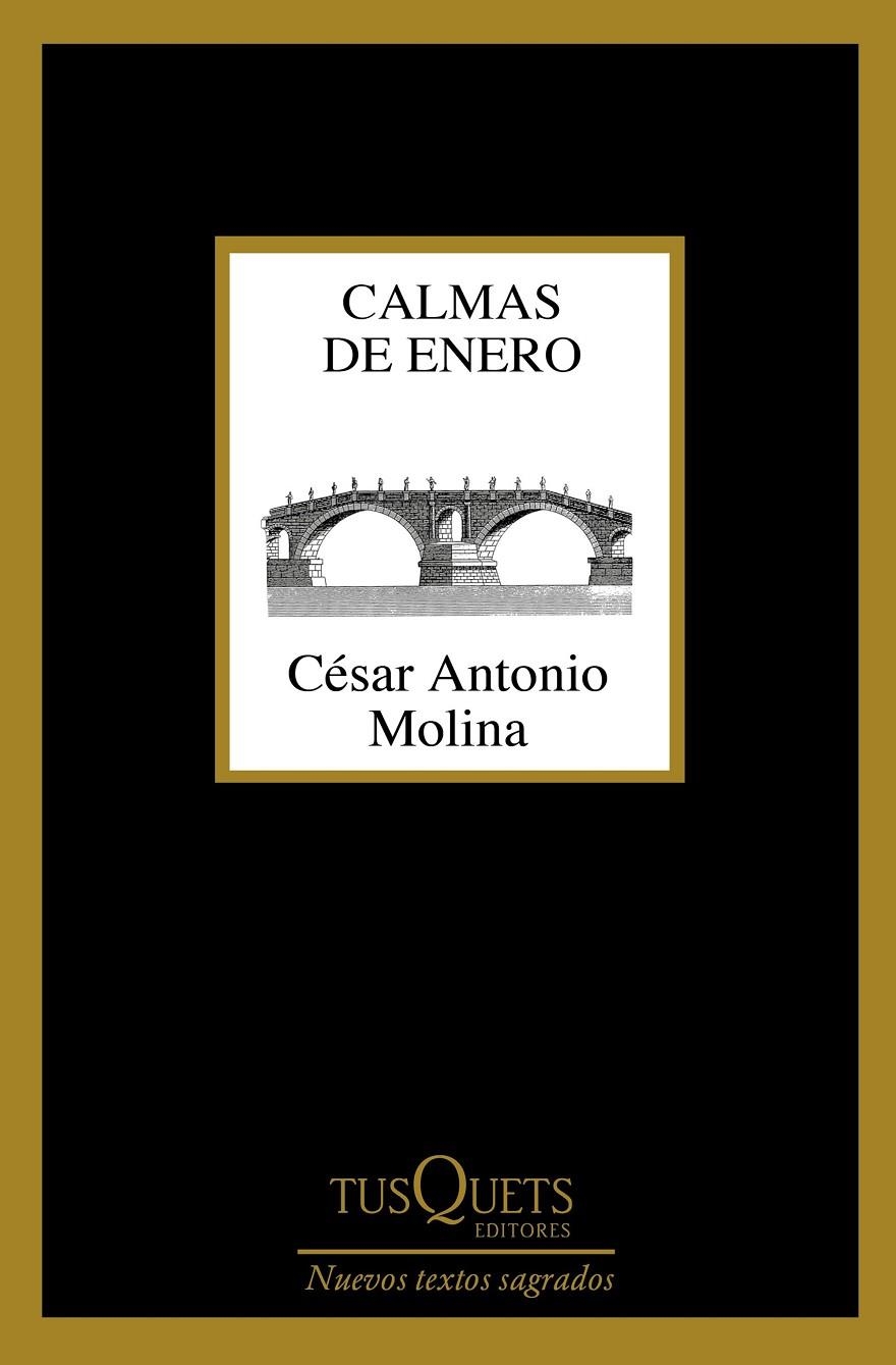 CALMAS DE ENERO | 9788490664704 | MOLINA, CéSAR ANTONIO